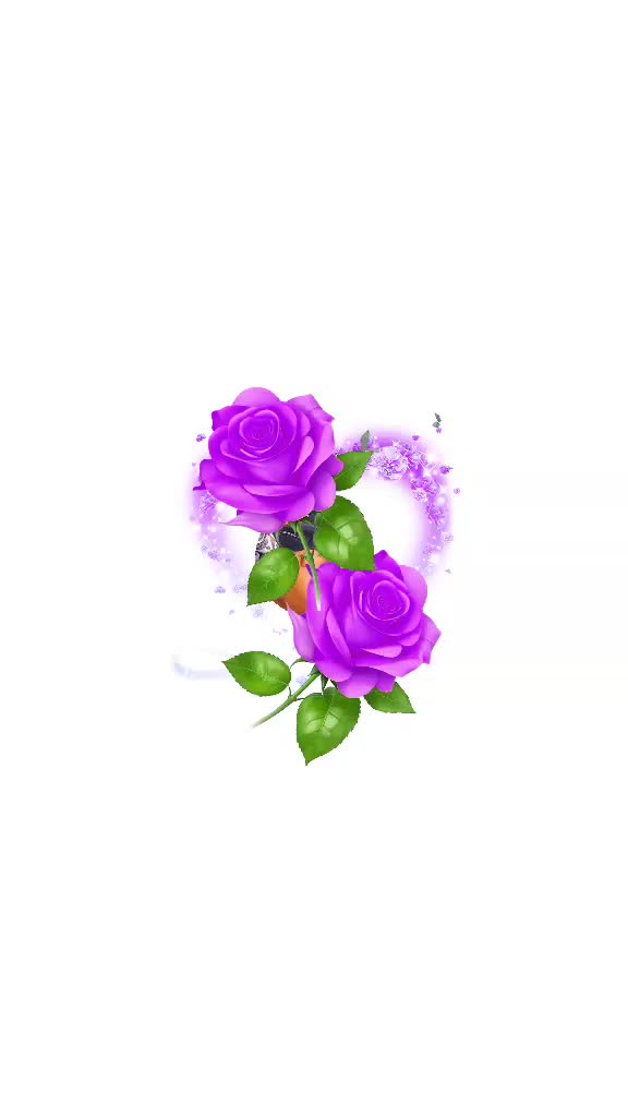 @seena