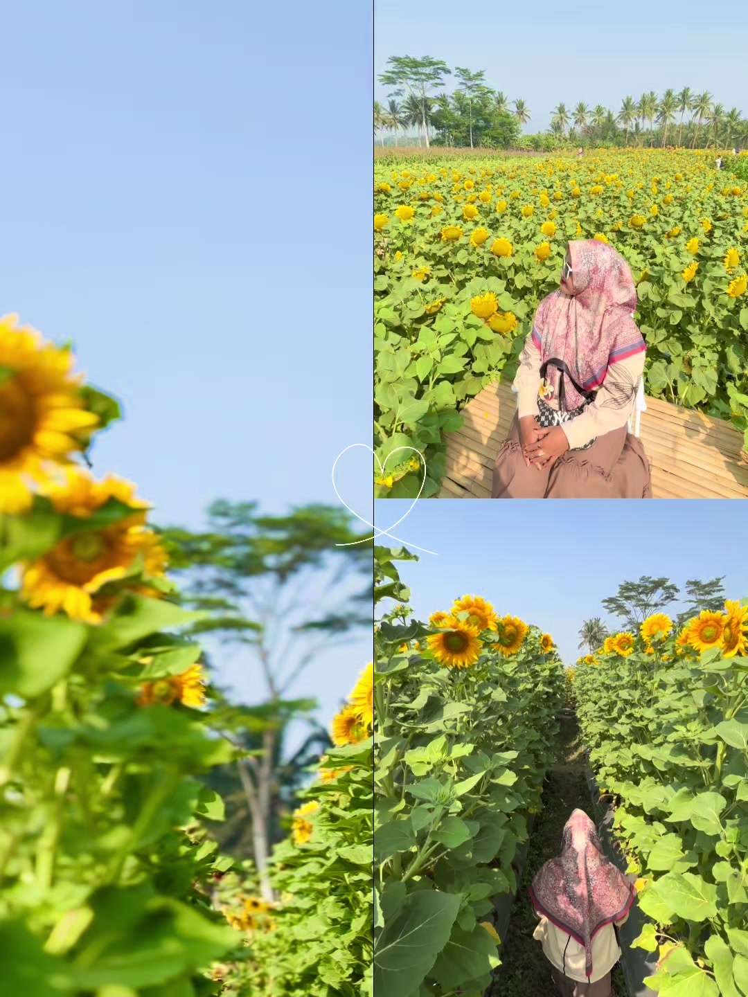 @NuruL