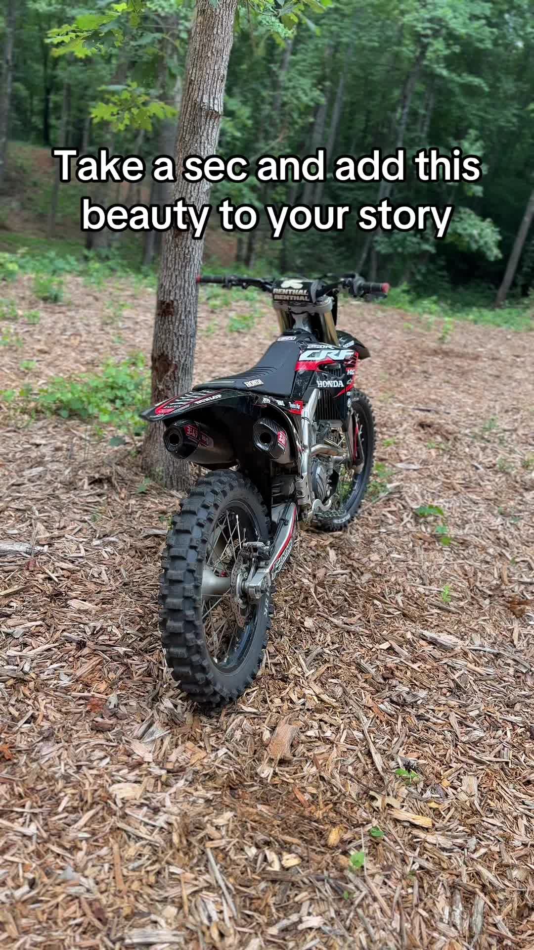 @That_Black_Honda