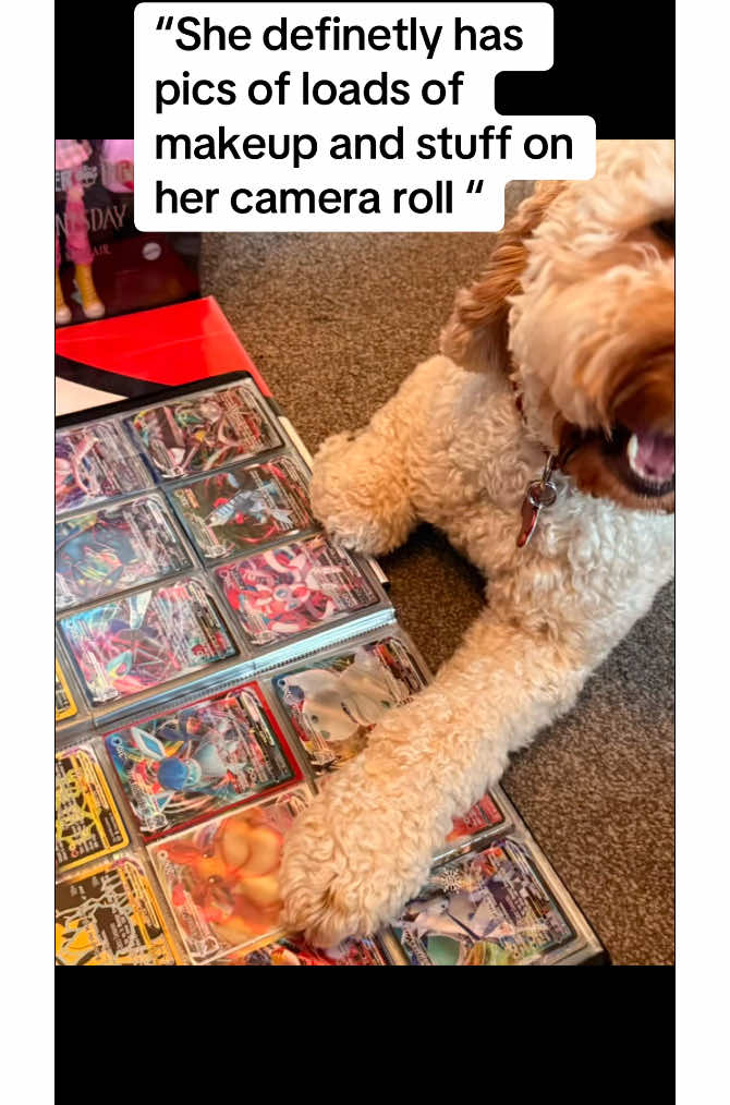 @✨L✨