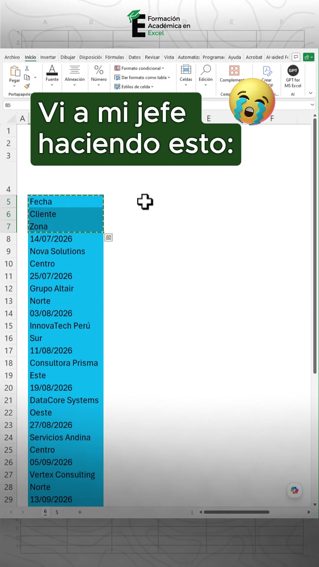 @FAE Formaci&oacute;n Acad&eacute;mica Excel