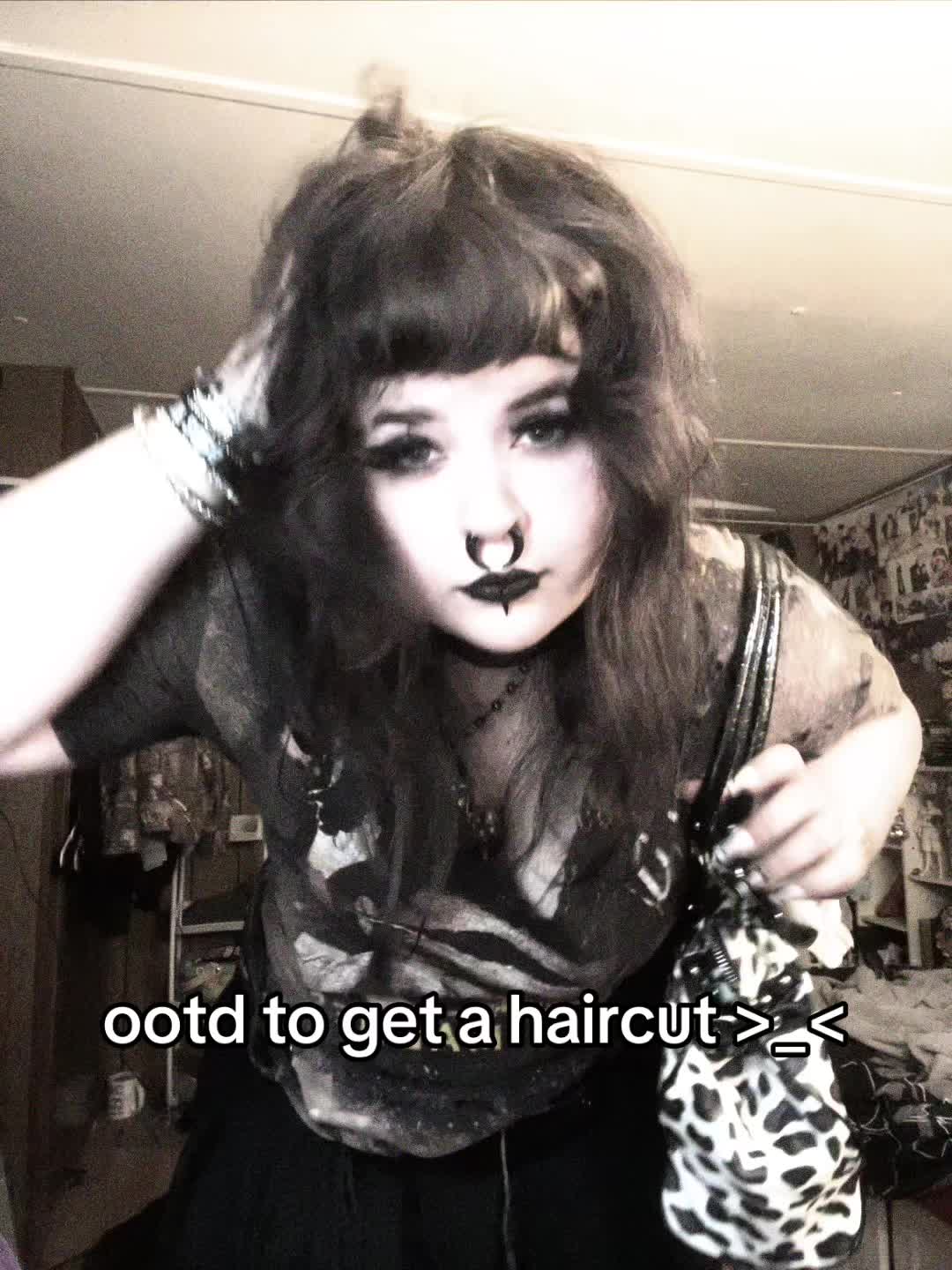 @🦇 HAVEN 🦇