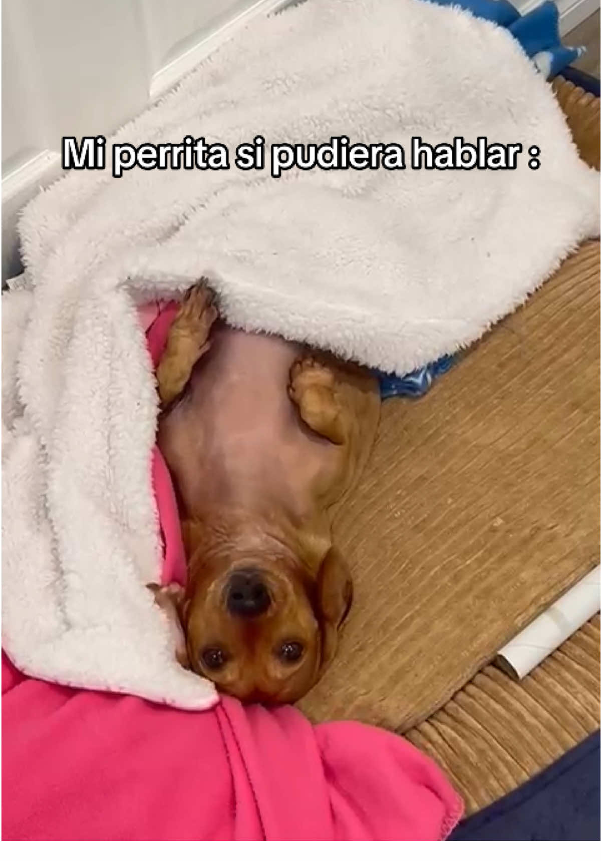 @Diana Bernal