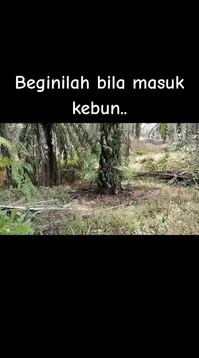 @pemburu