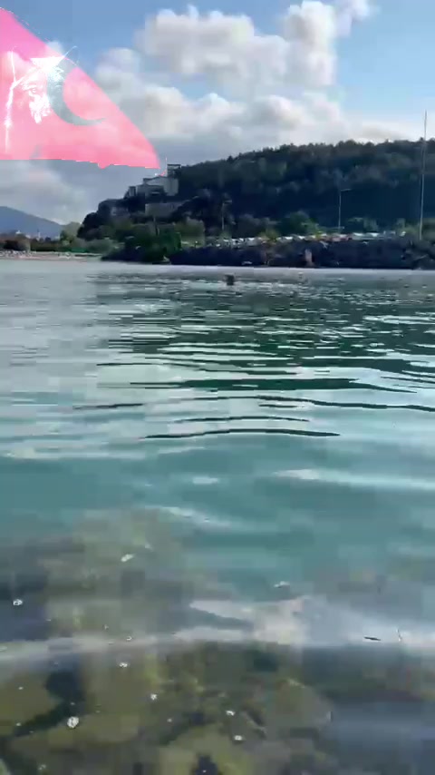 @🇹🇷🦈 Yavuz Ayık