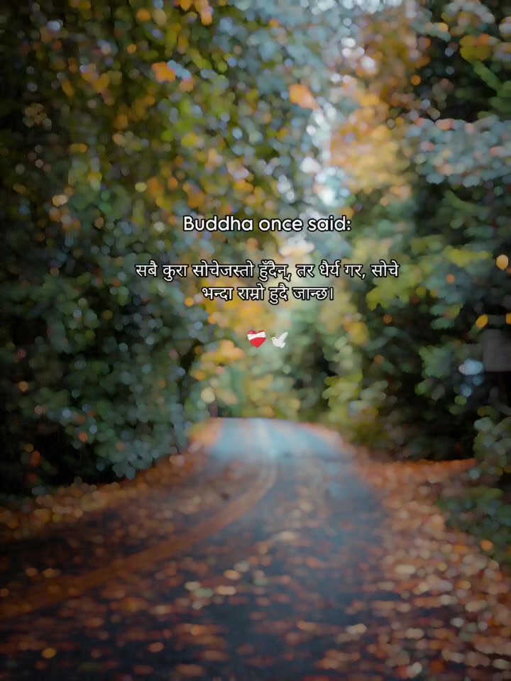 @Wisdomoflife