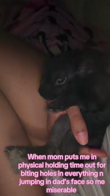 @Strawb3rriiStarFL3$h