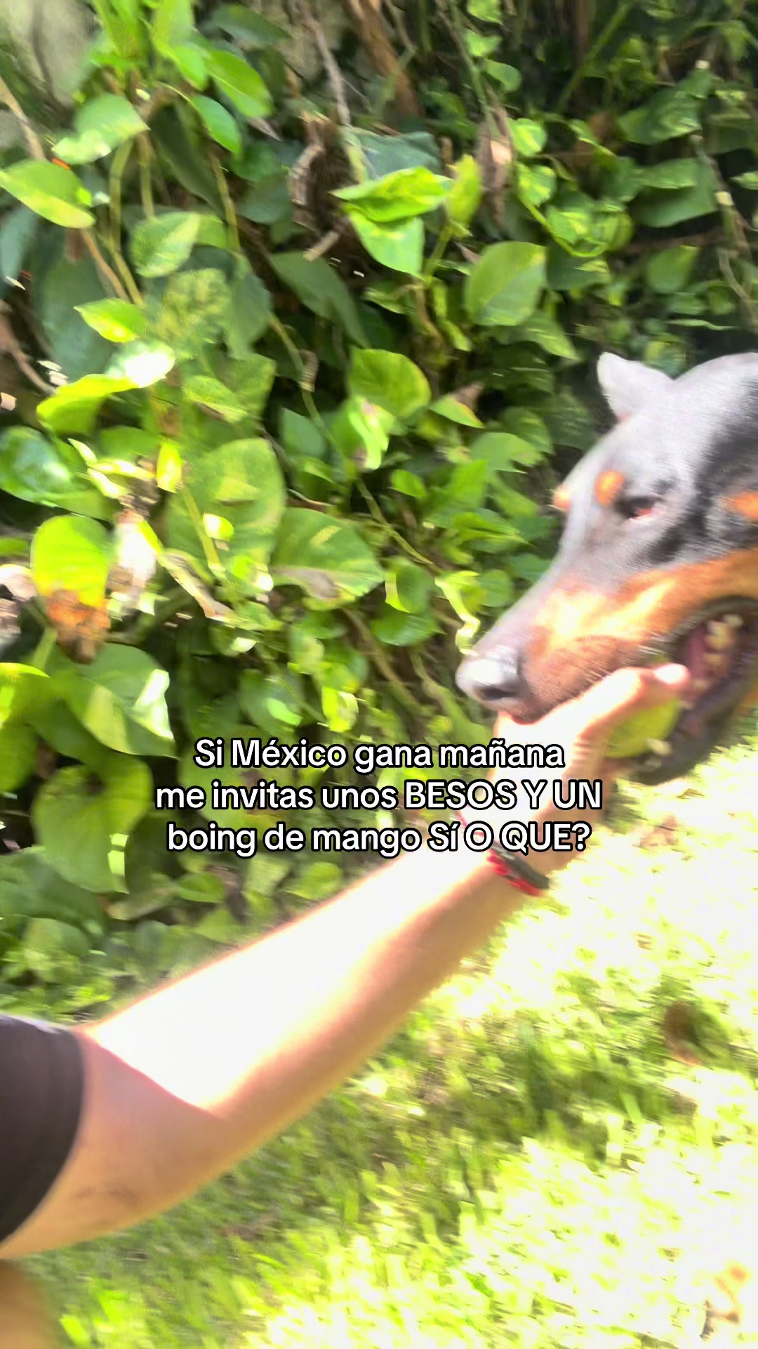 @TuAtole