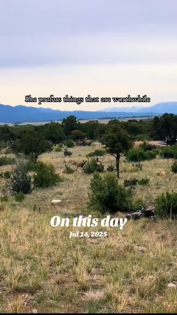 @TravelChaffeeCounty