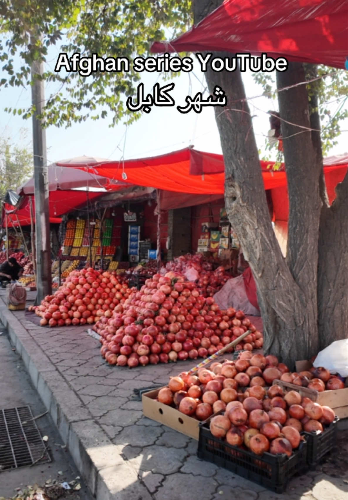 @afghanseries