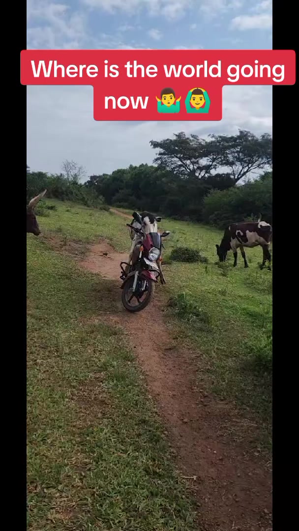 @JimJamKing🇫🇷🇺🇬