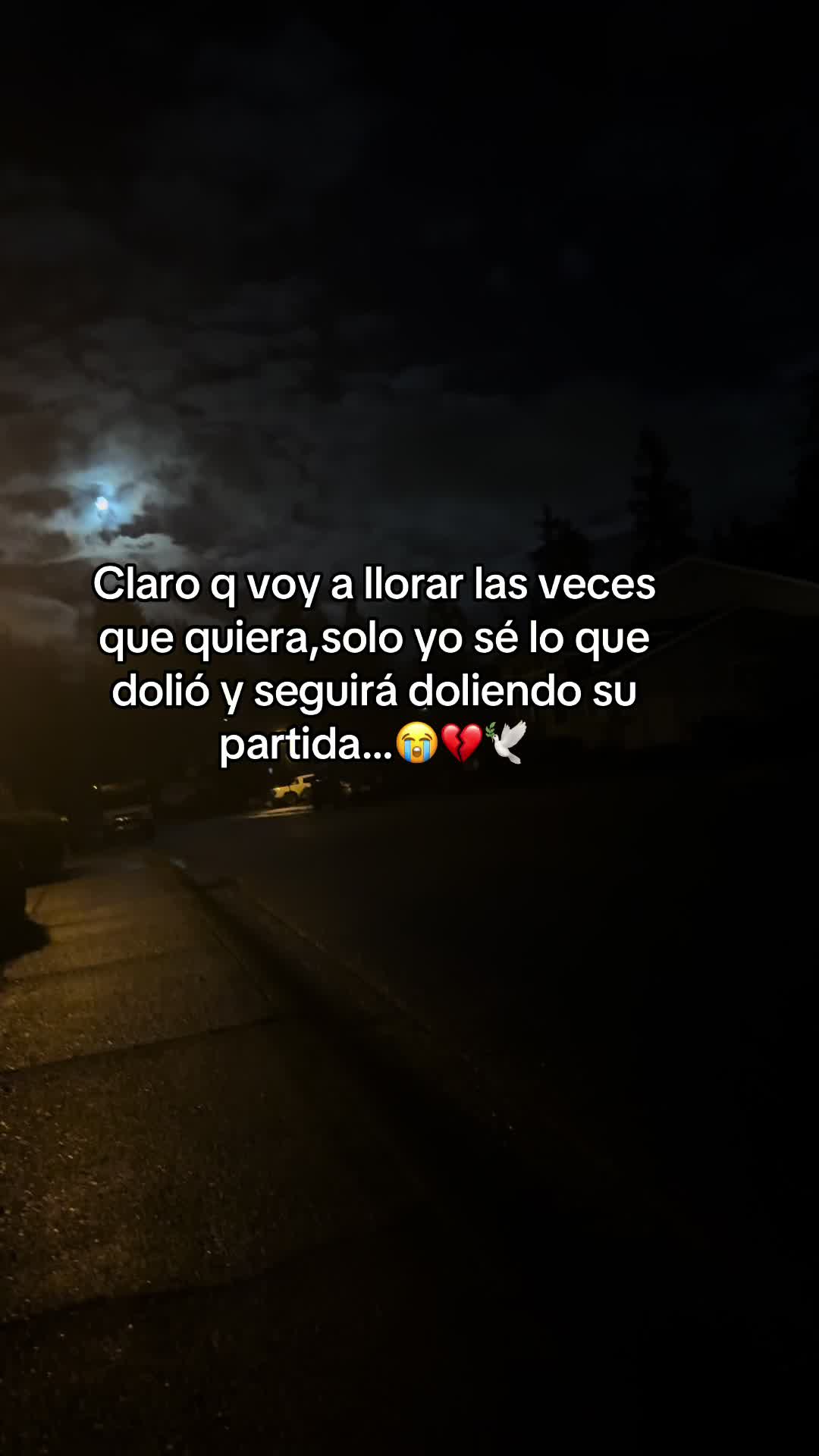 @Niky💔🥹🕊️