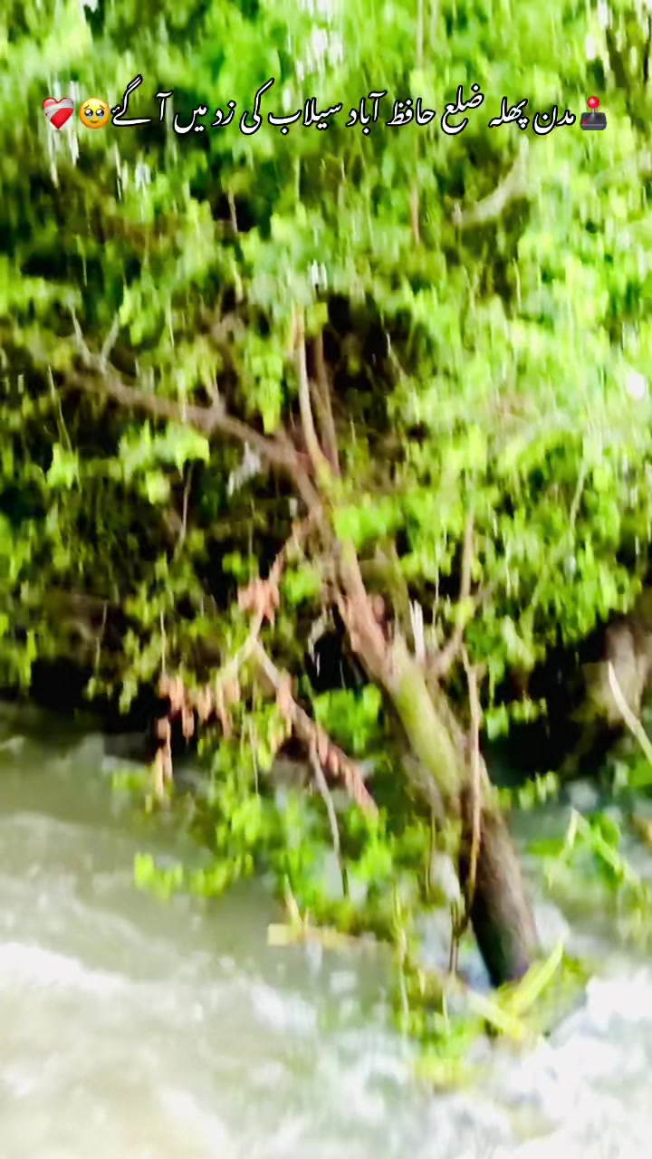 @🚩𝐑𝐀𝐍𝐀..𝐑𝐎𝐌𝐀𝐍🚩