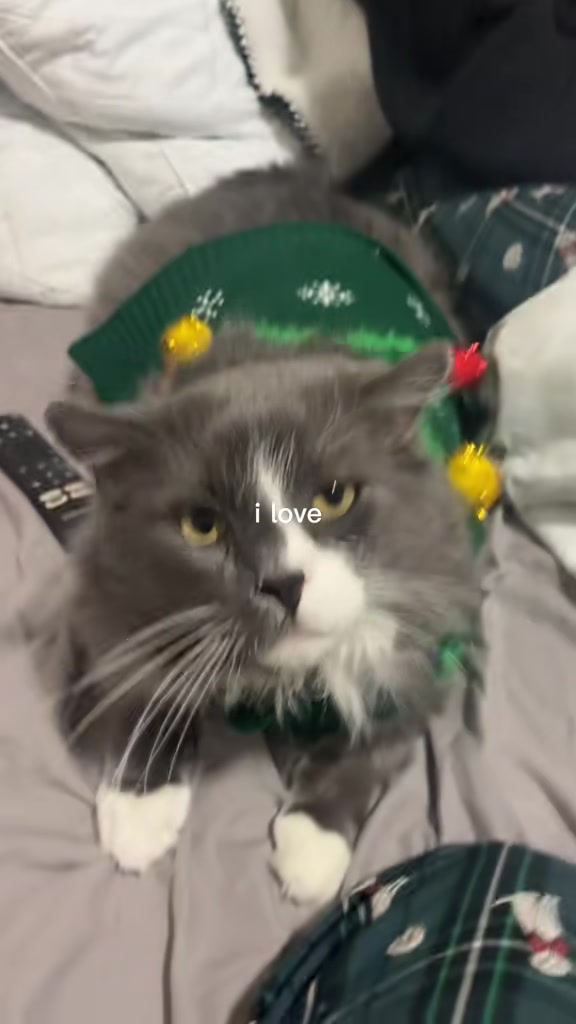 @Erica Marie