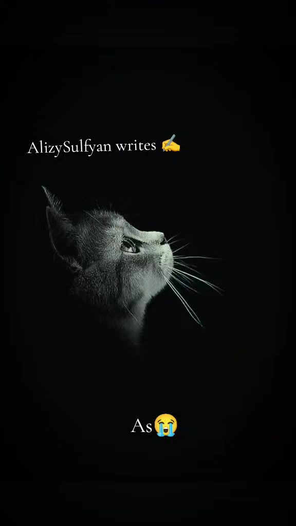 @Alizy&hearts;️Sulfyan