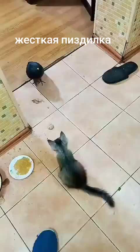 @Имя
