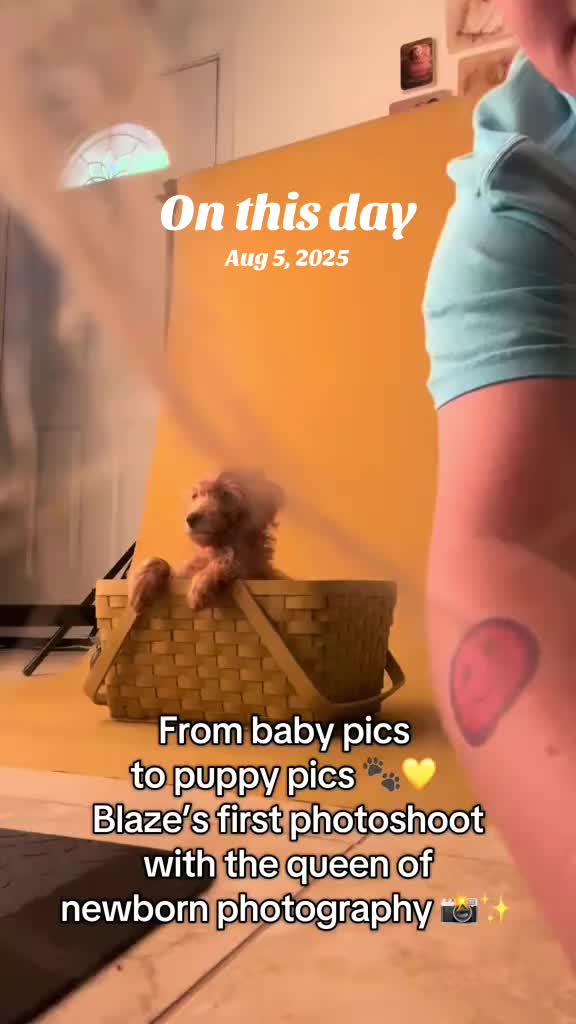@Sylyna Dews 🧸