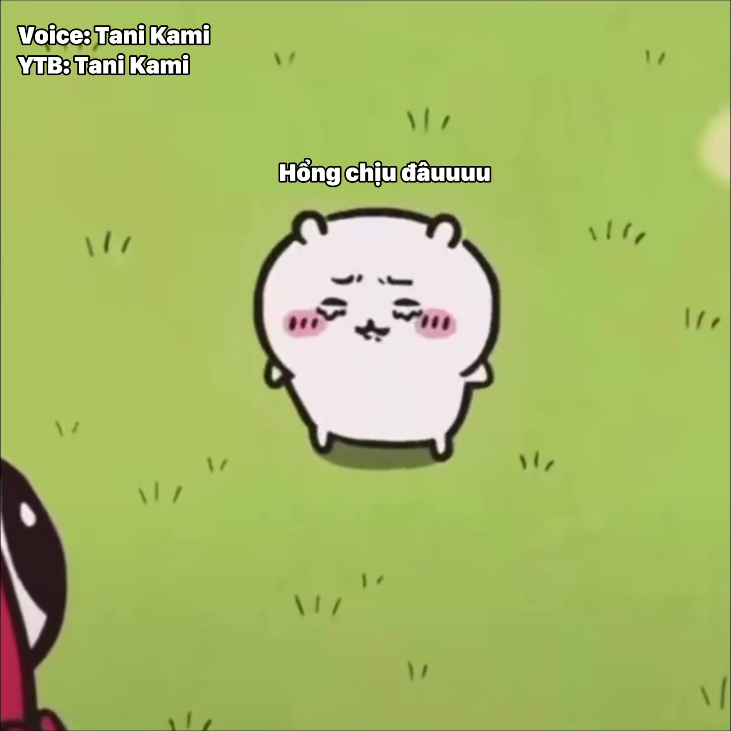 @Tani Kami 🐹