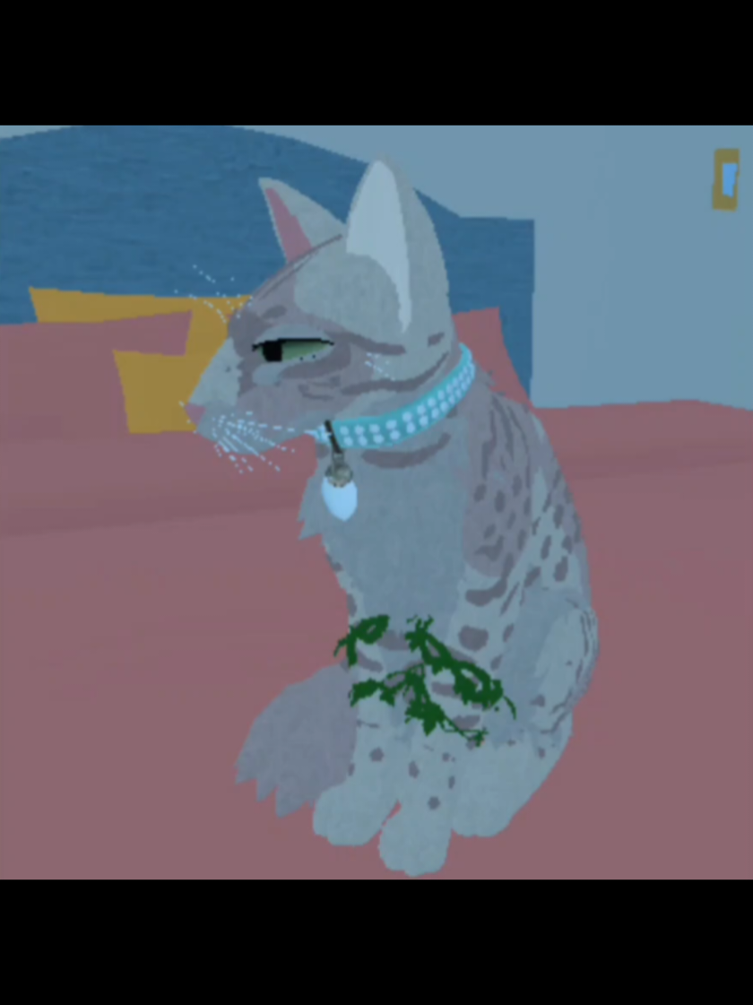 @blackcatchat