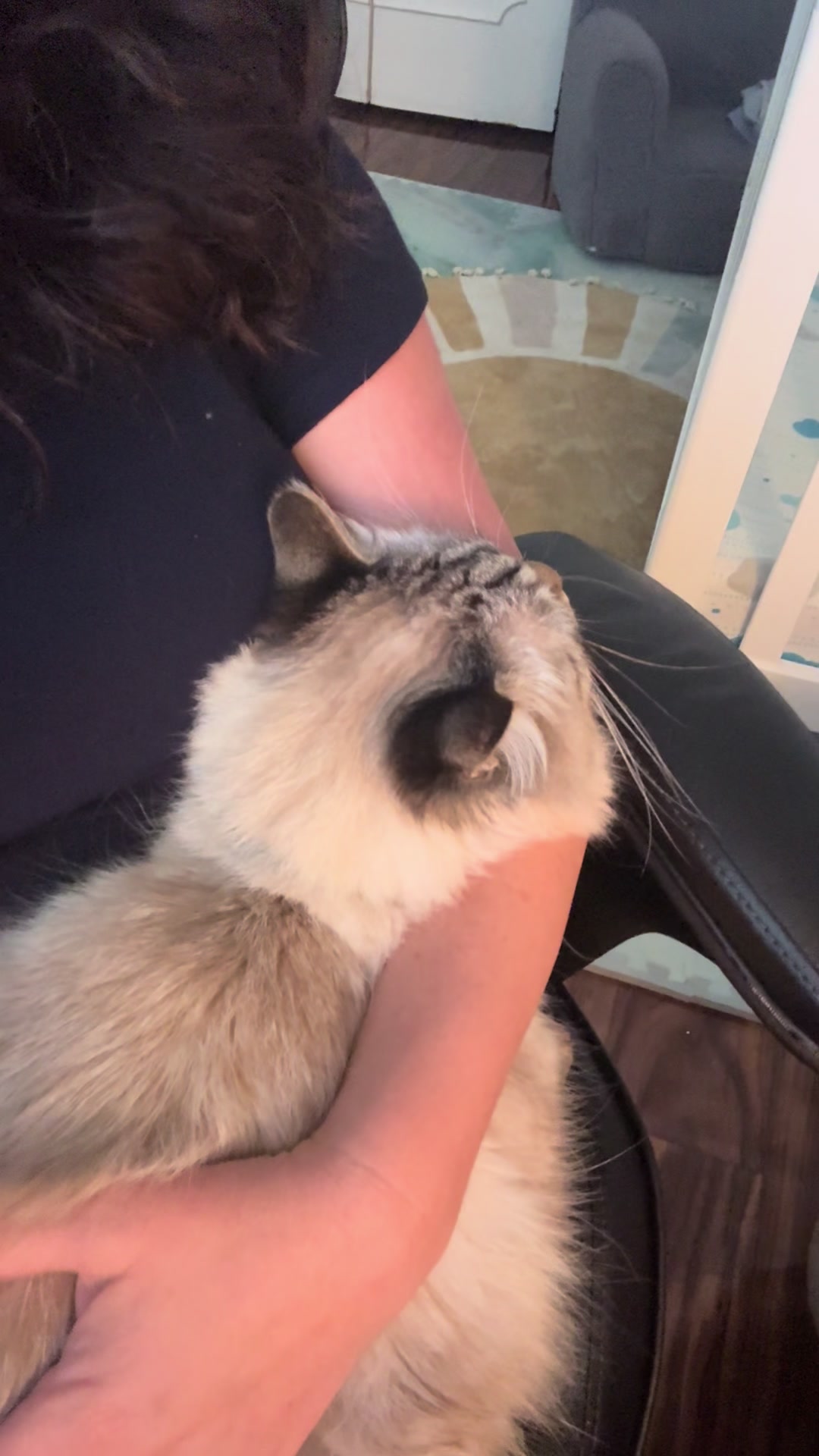 @Brock Meowsnar