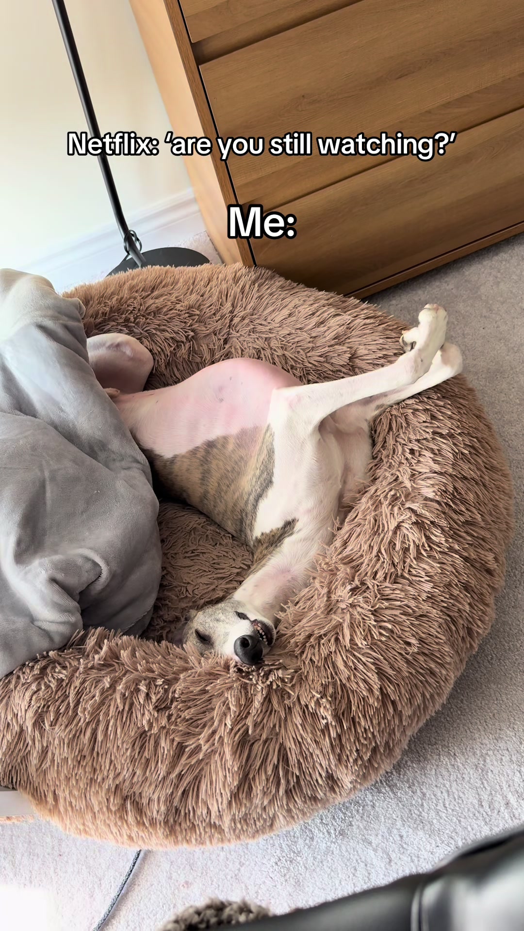 @Kayce Dog🤪🩷