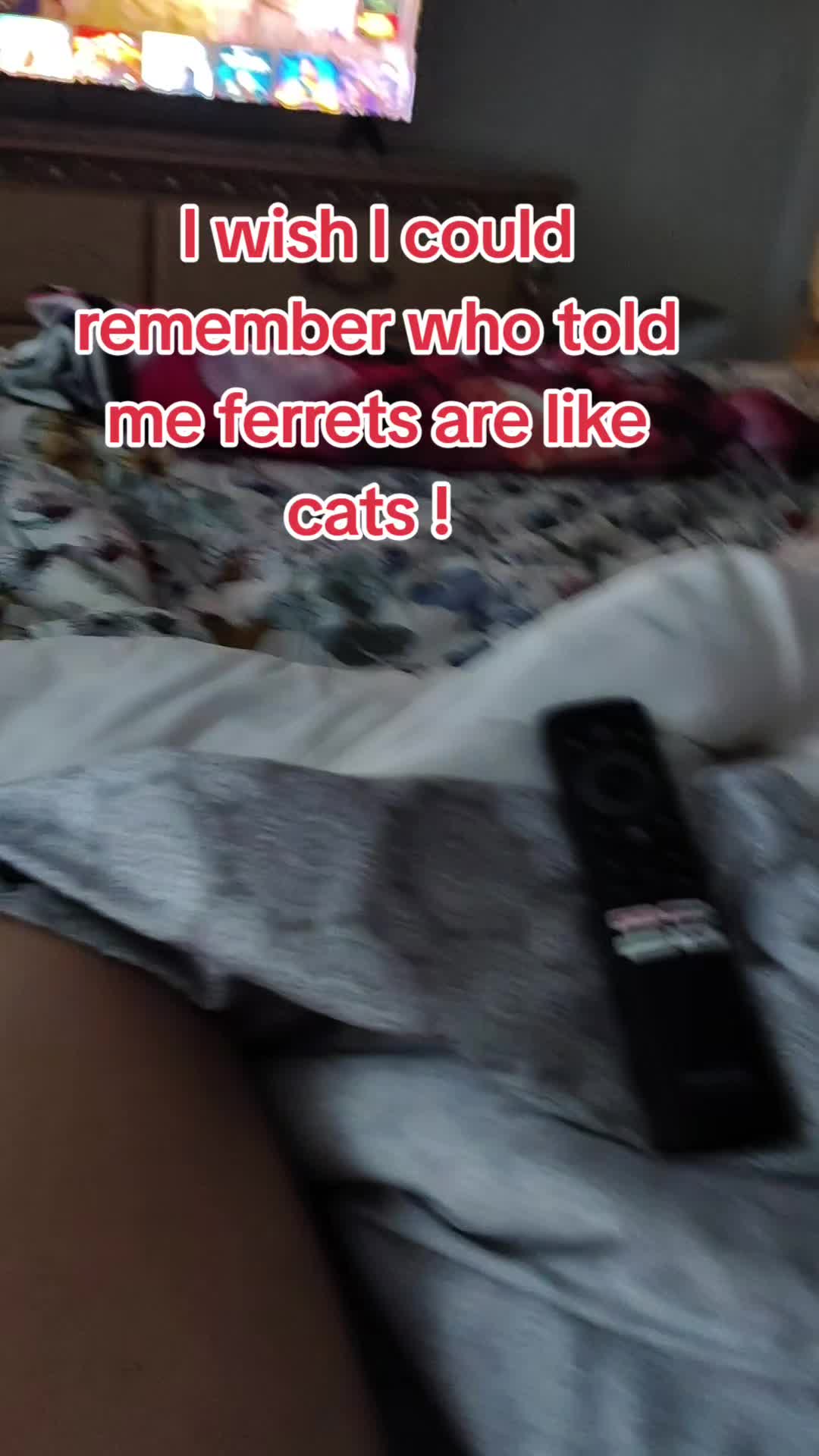 @GinnCats420