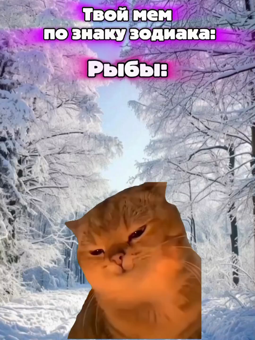 @MisterCat
