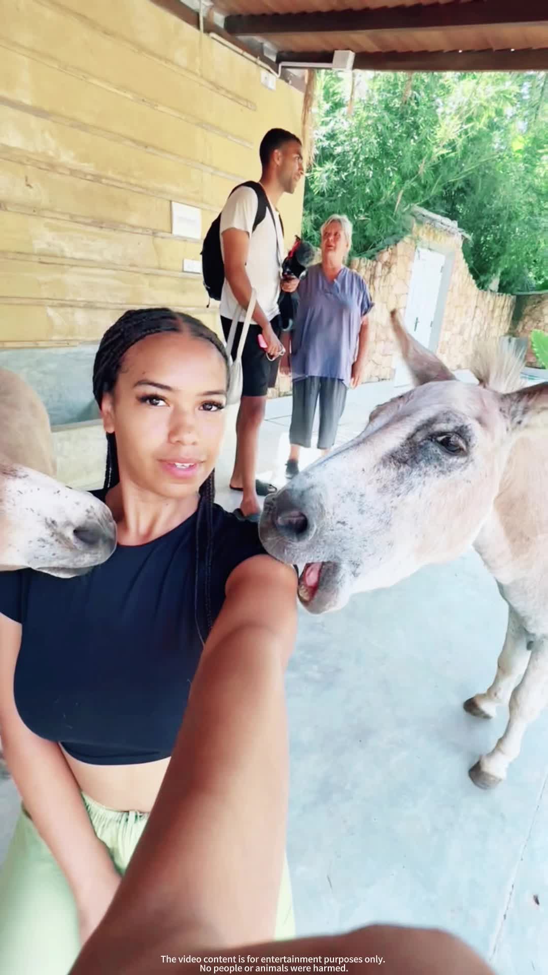 @laugho2