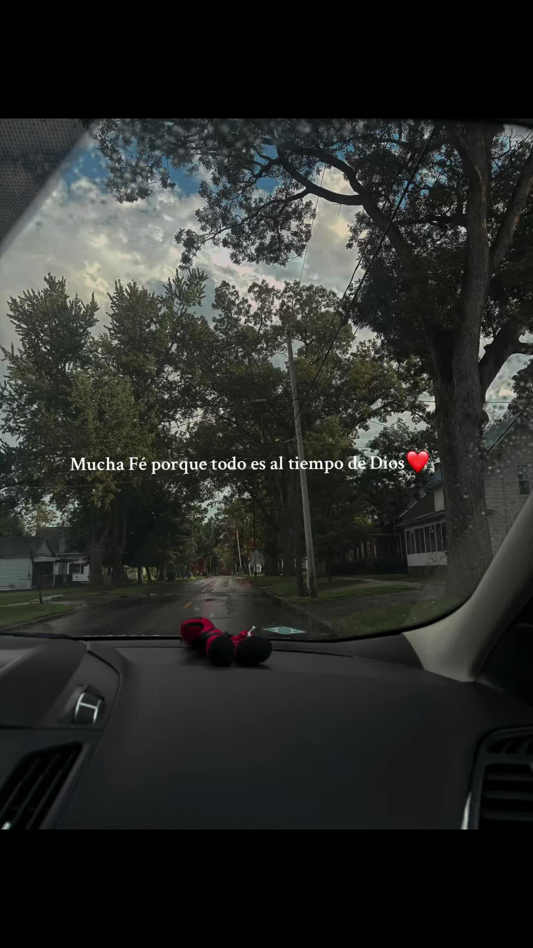 @Gonzalez-Isela