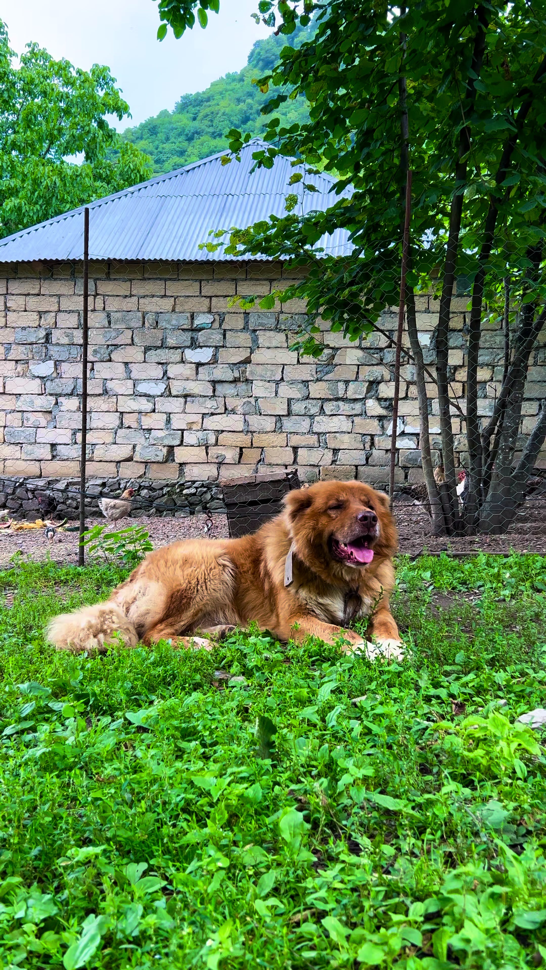 @𝑨𝒅𝒊𝒍𝒐𝒗🌿
