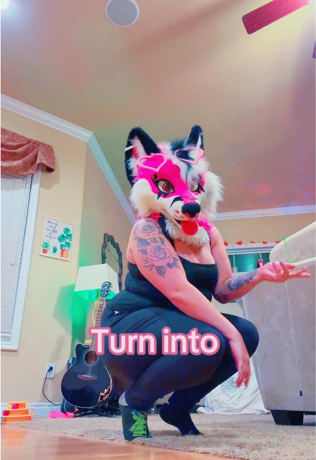 @pinkgeminihuskyofficial