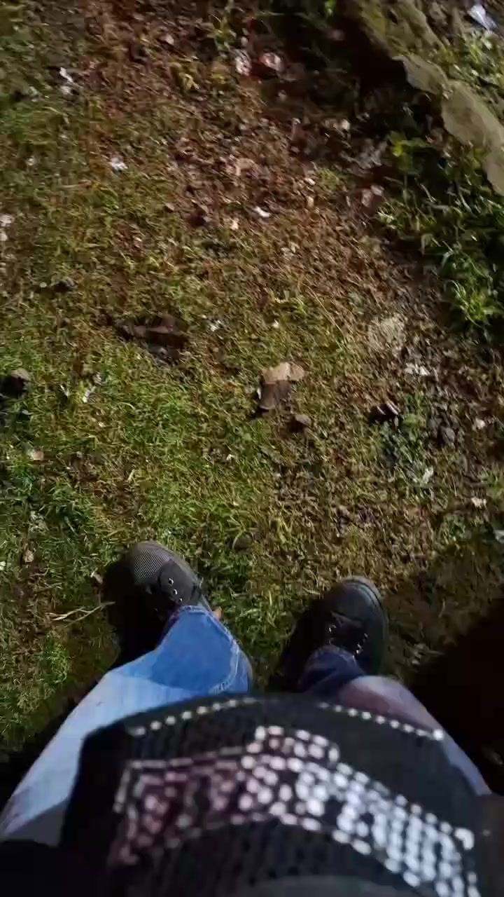 @rejasfaaa