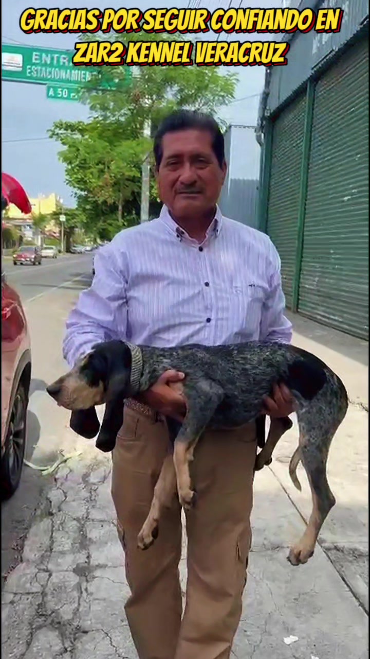 @zardos kennel veracruz