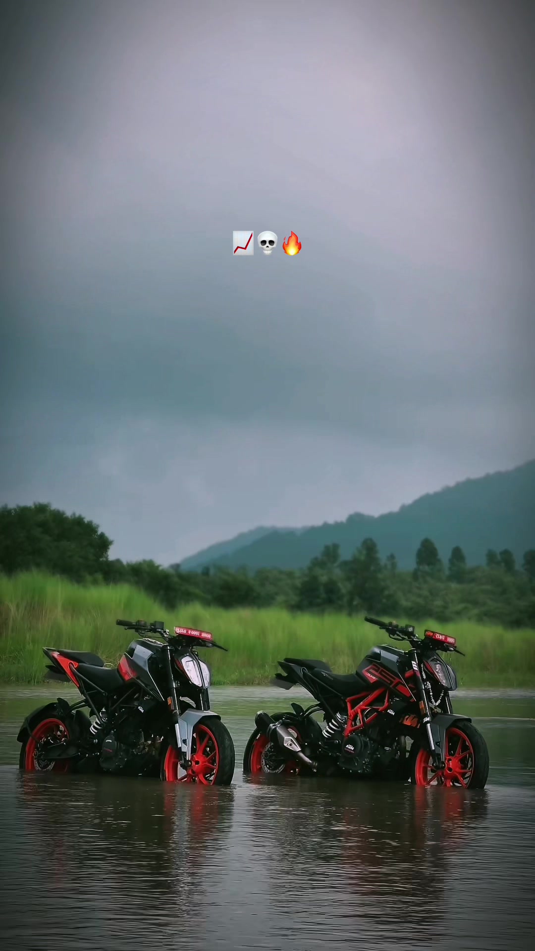 @ＴＯＲＱＵＥ_２５０ 💀