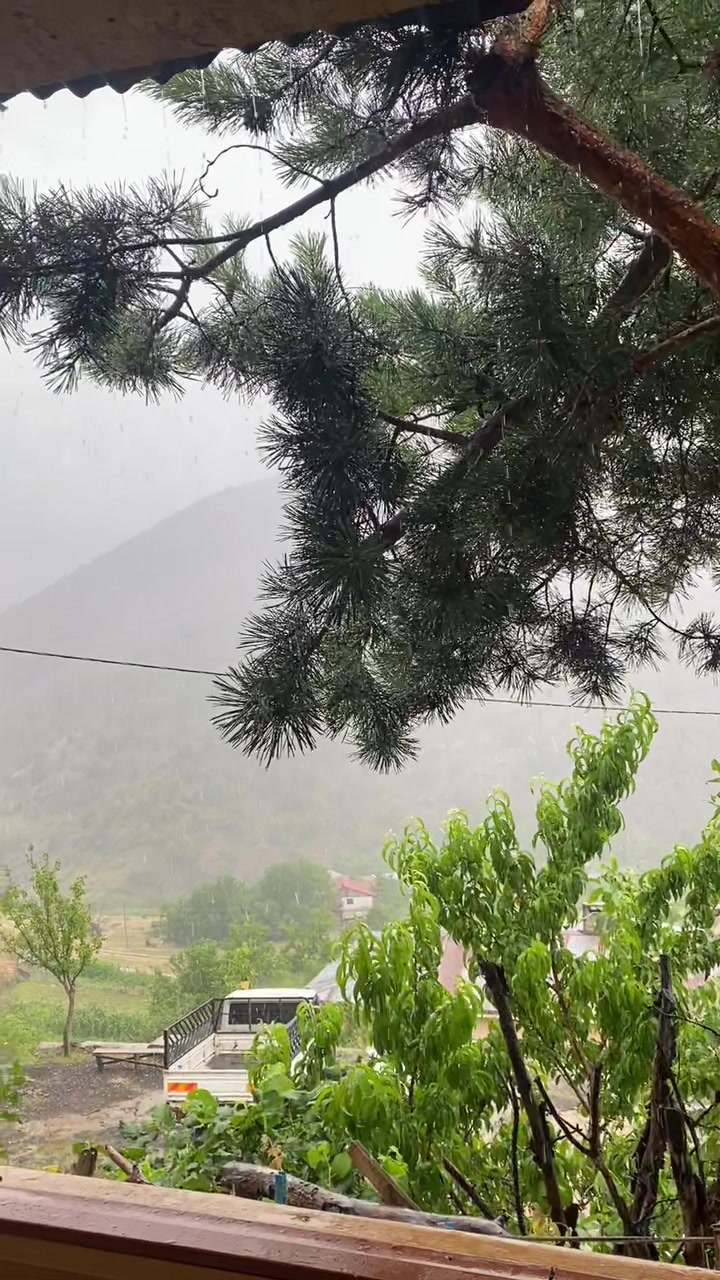 @Doğa Ajandası