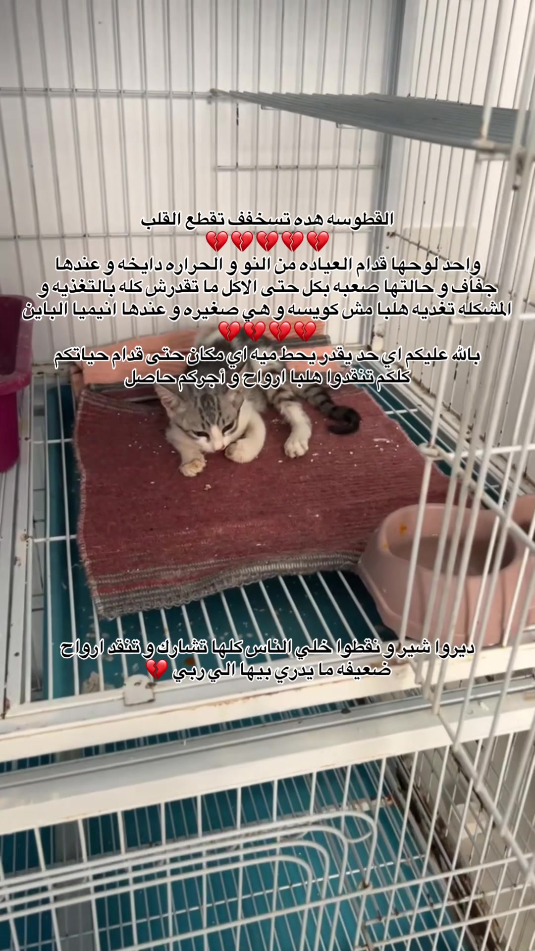 @د.وئام