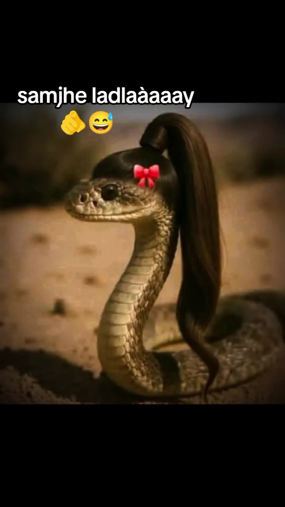 @꧁𓊈𒆜🅲🅼🔥💞🥷𒆜𓊉꧂