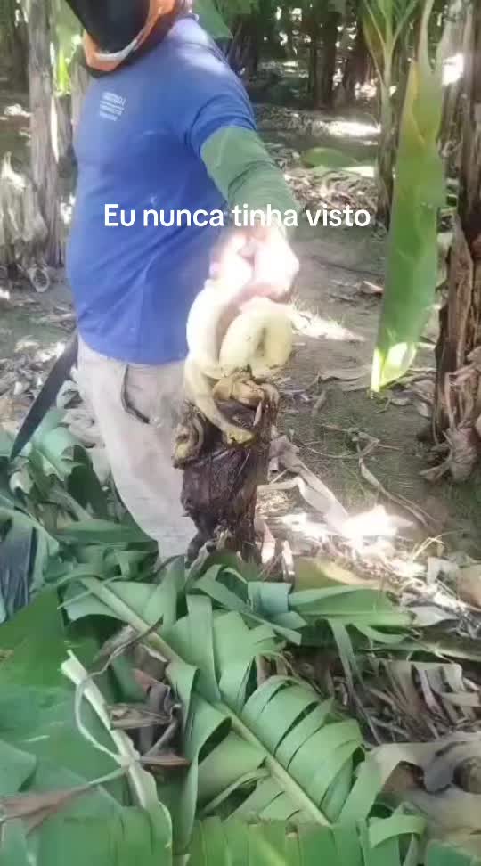 @Cícero Maicon Lopes