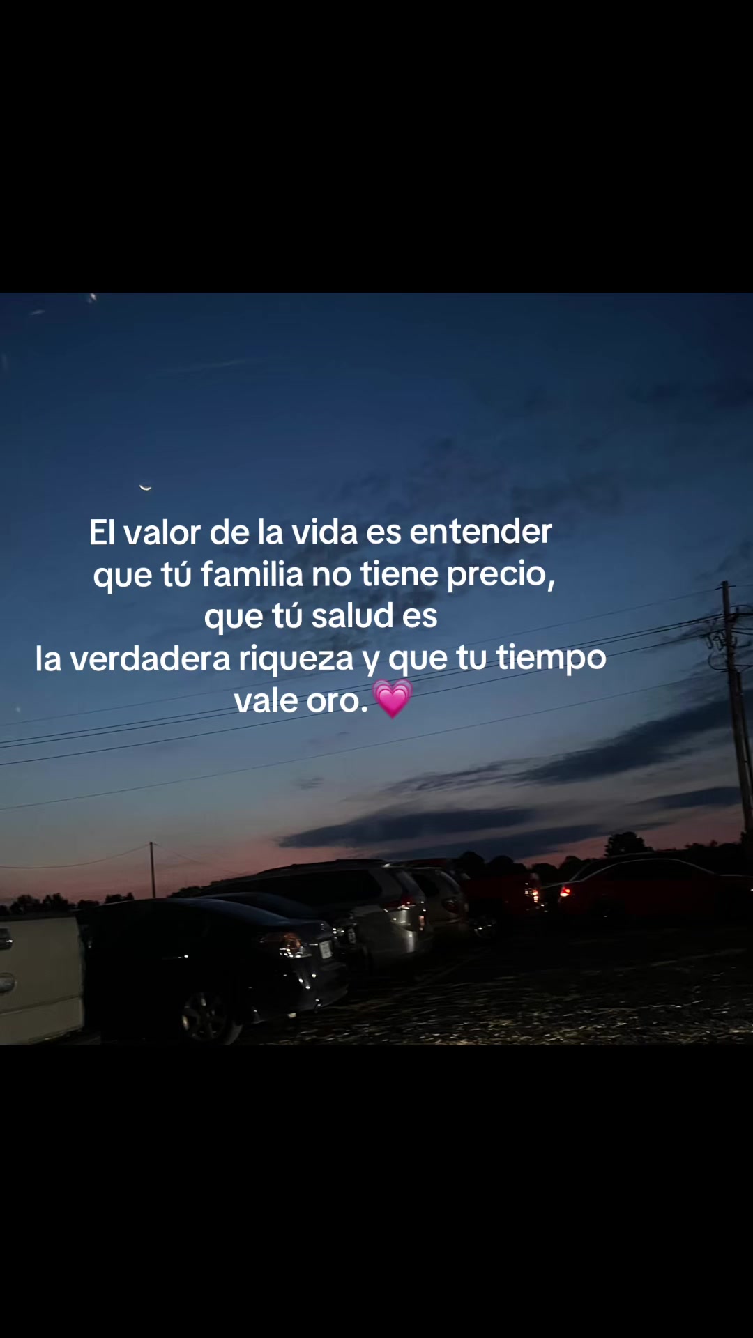 @Flory G 🌺