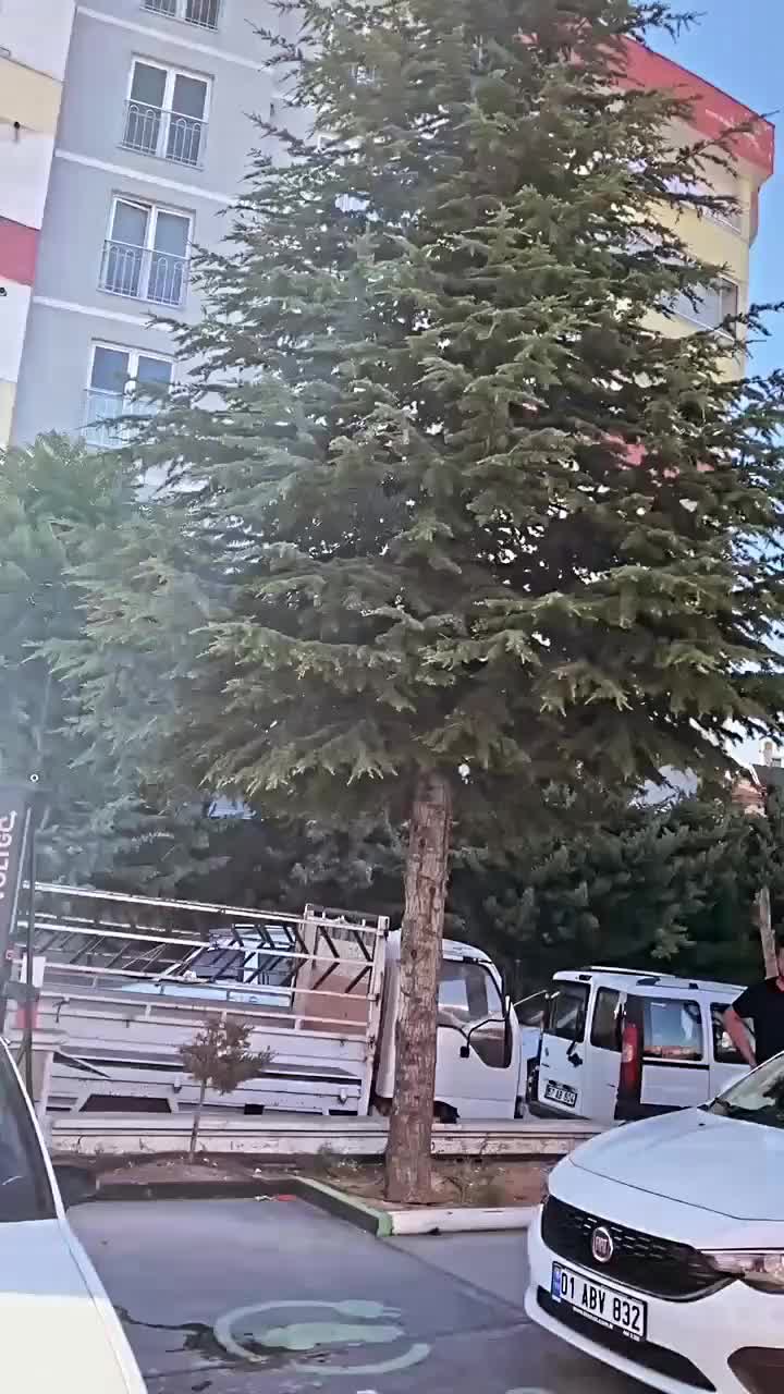 @𝐄𝐟𝐞