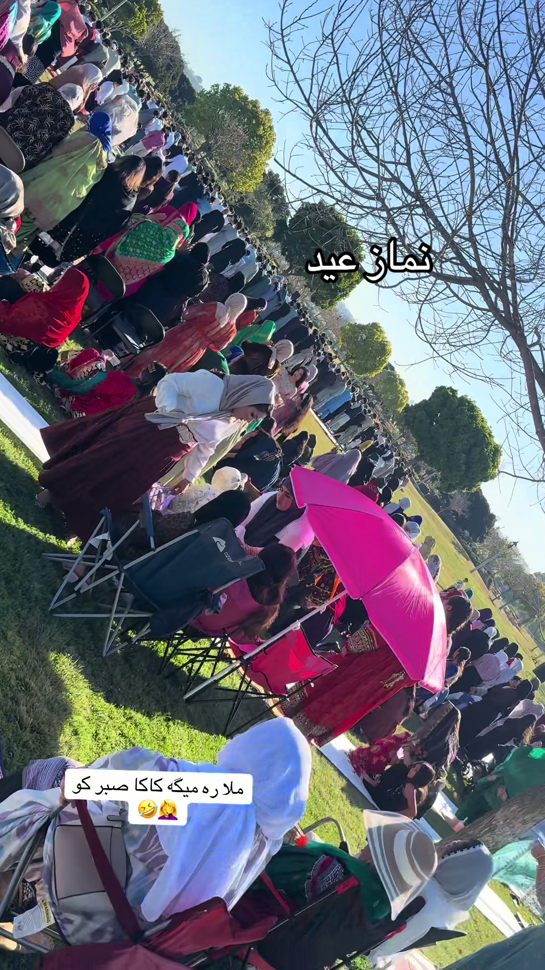 @🎀پیشوووگک🎀