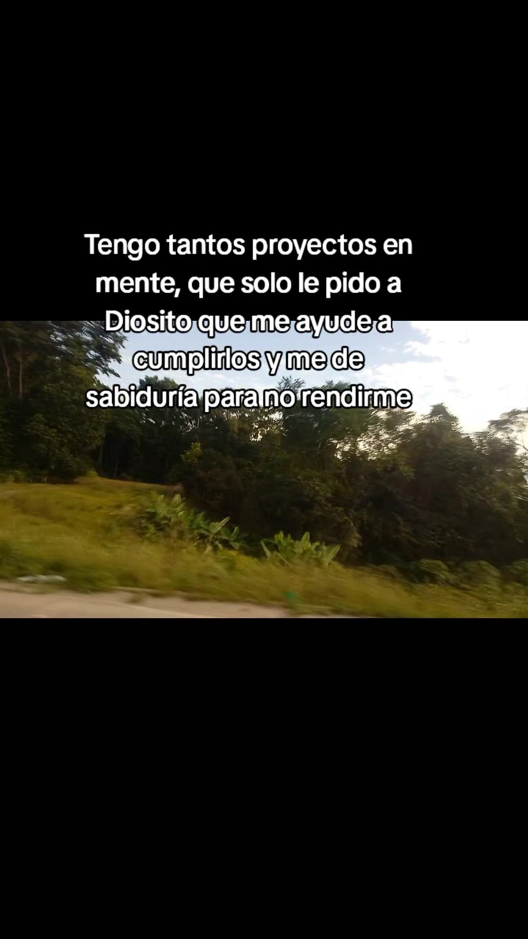@roxanarojas664