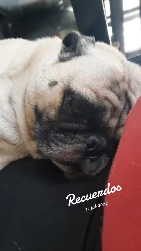 @Carmen Alvarado