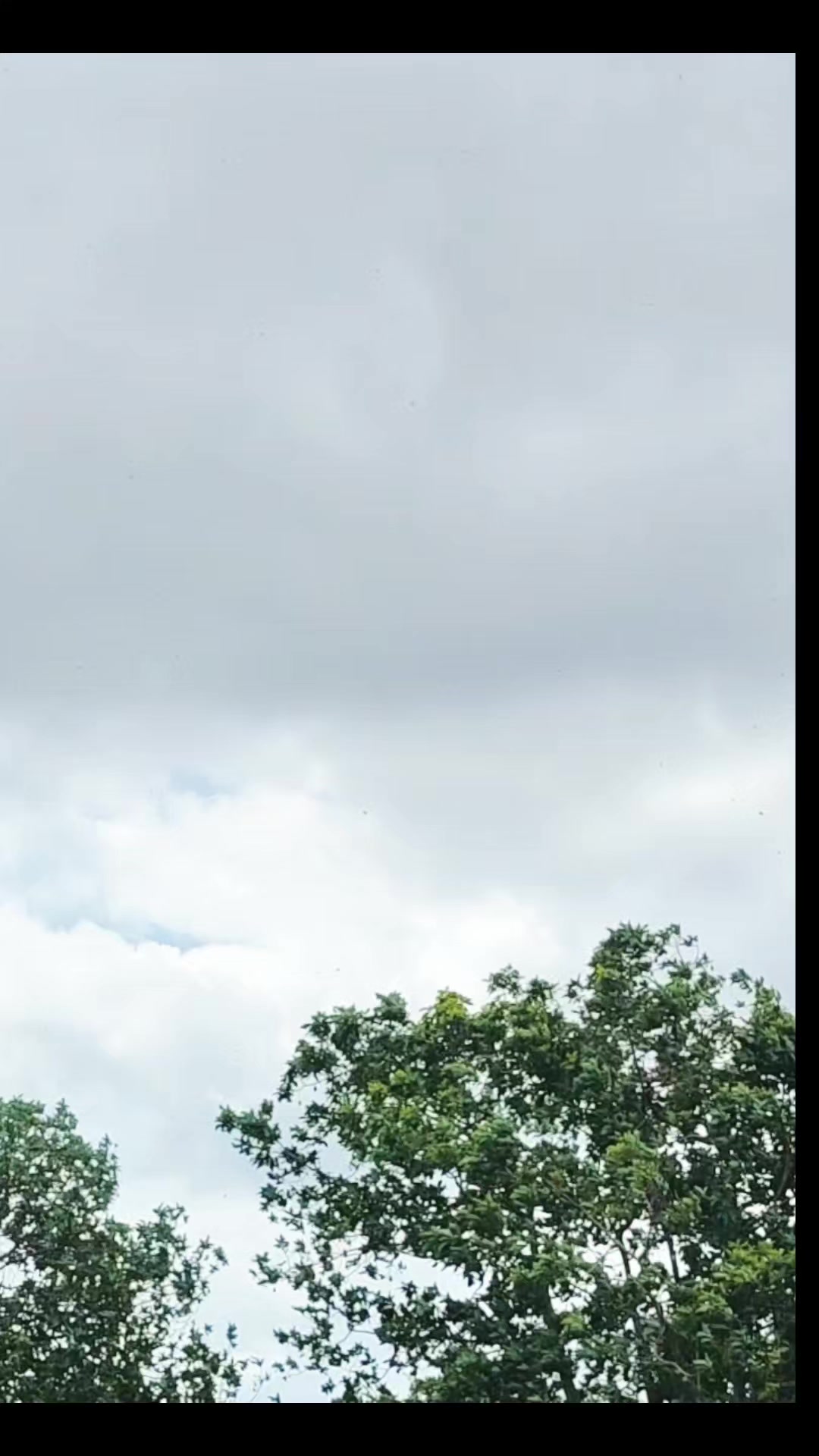 @KINPANAMA👾🌎