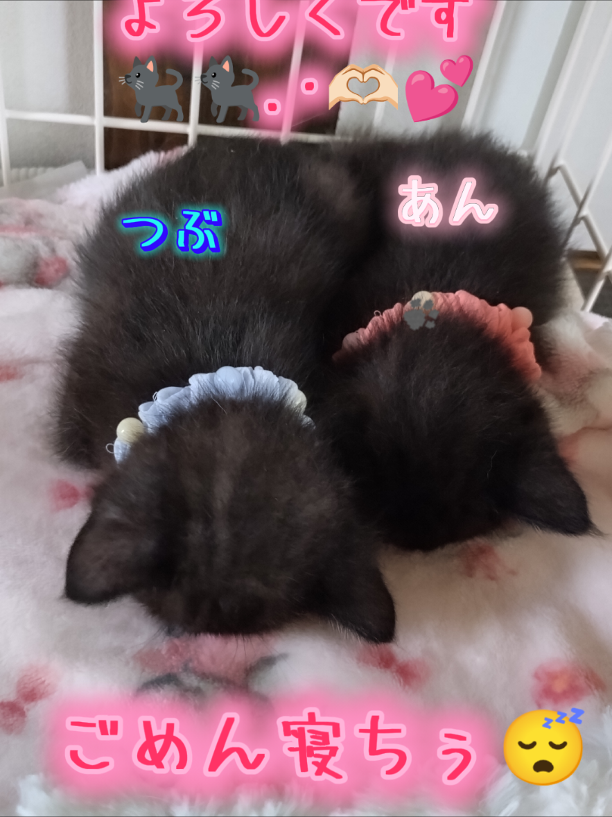 @❀.*・゚УцКд.゚・*.✿