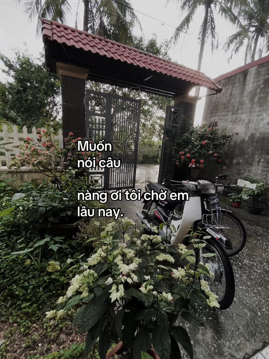@𝐍𝐠𝐮𝐲𝐞̂̃𝐧 𝐇𝐮̀𝐧𝐠🧸