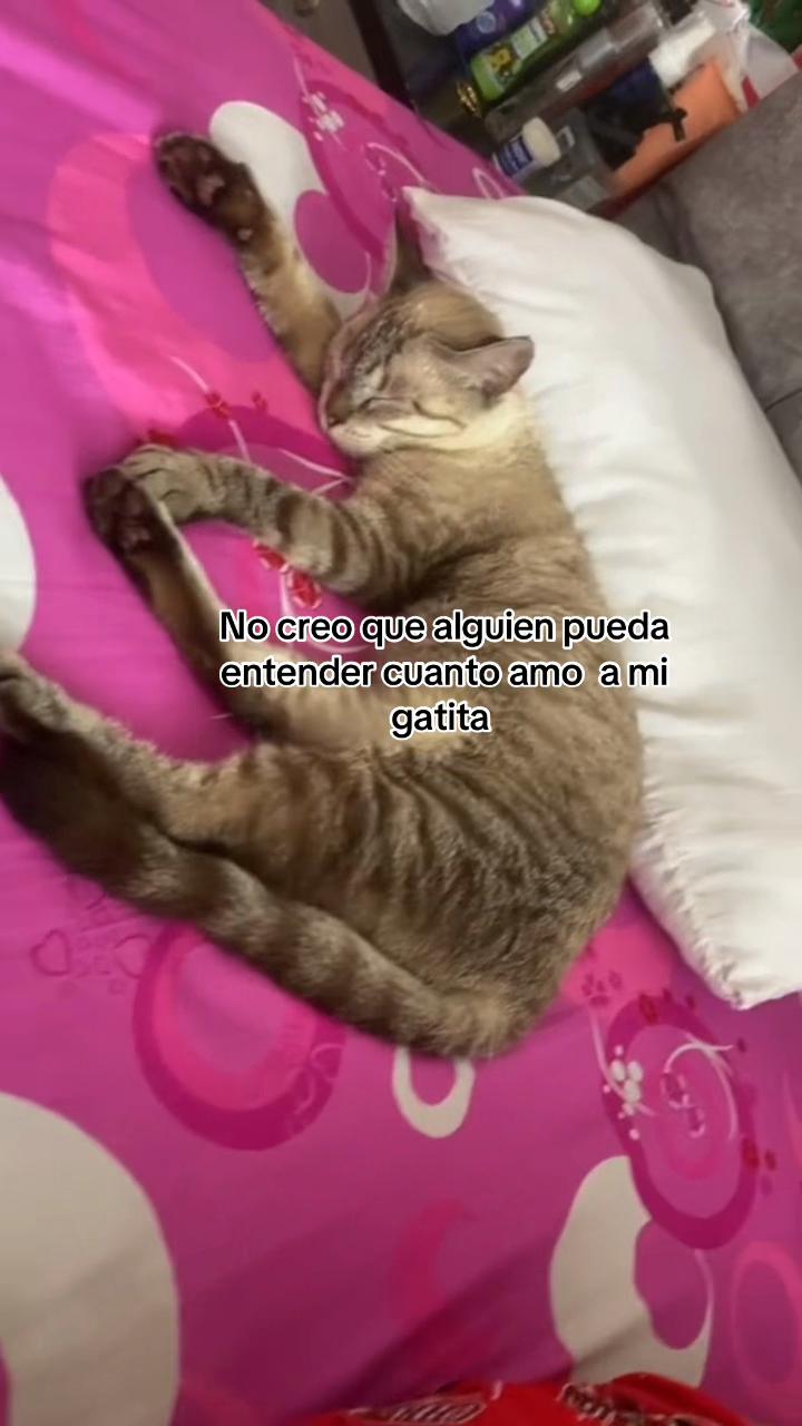 @Maki🦋