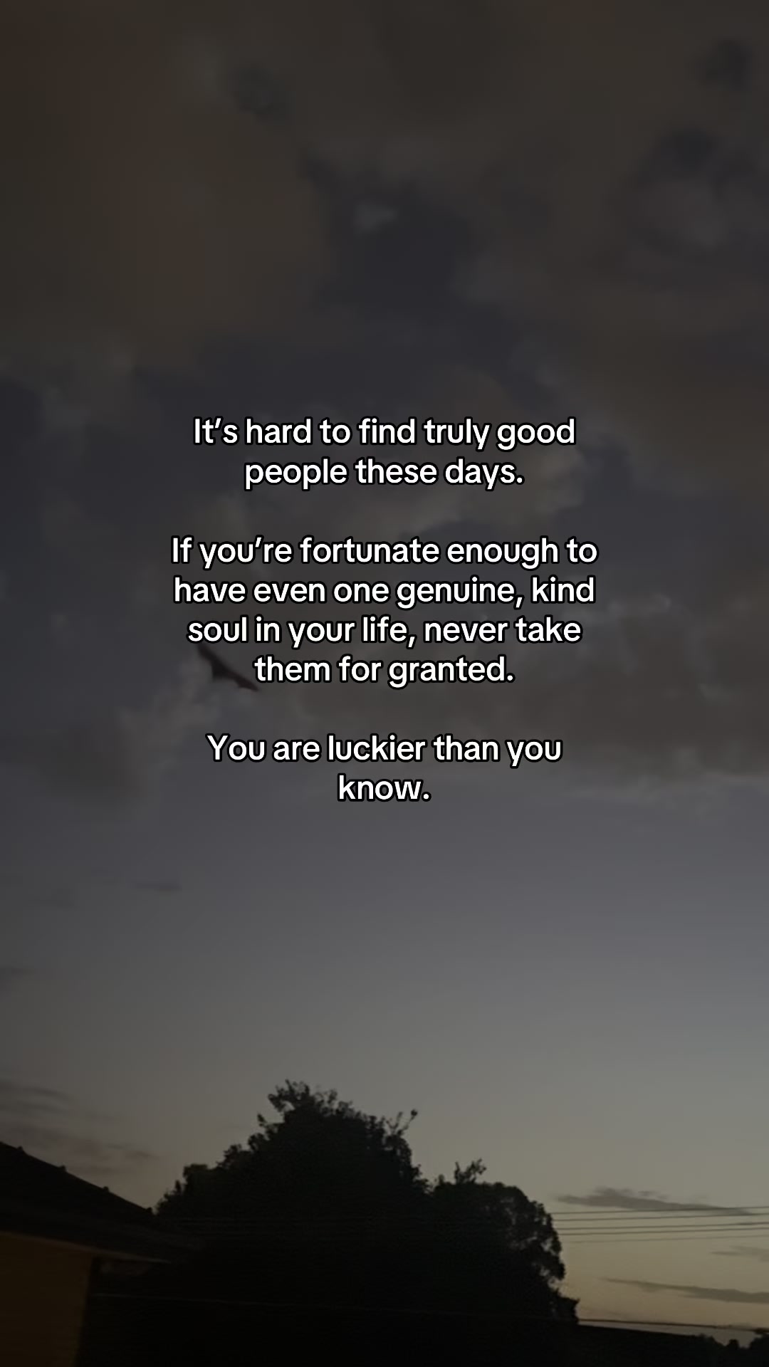 @realityoflife