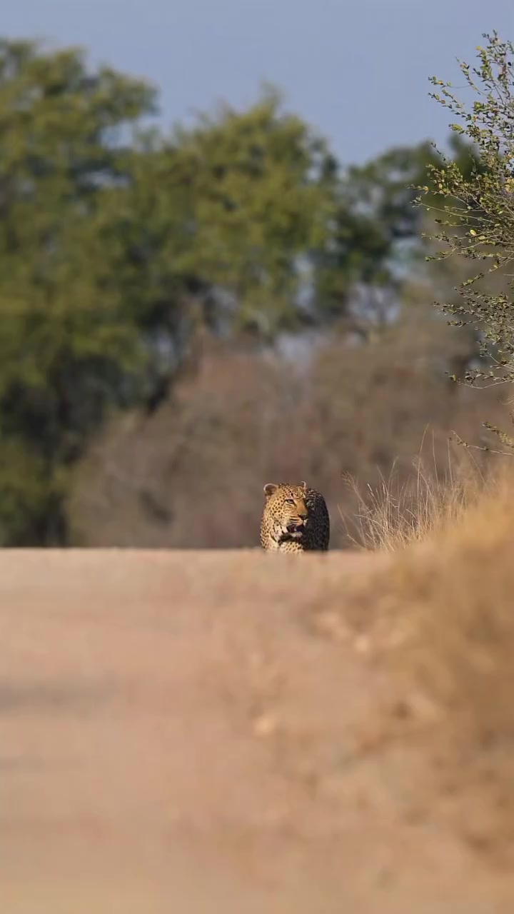 @Kalbas4x4Safaris