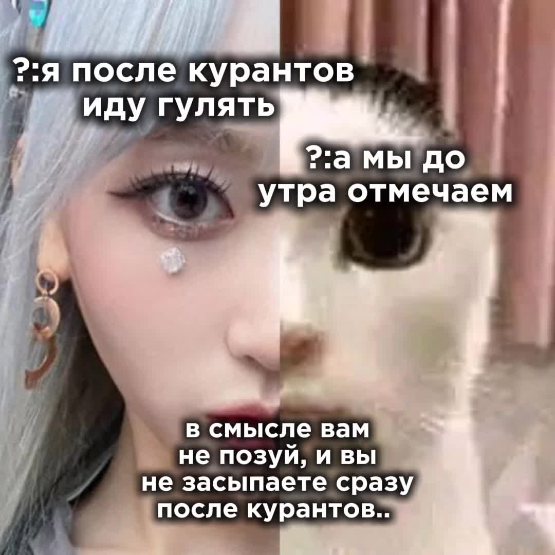 @kavo